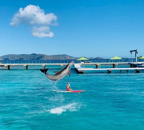 Coral World Ocean Park